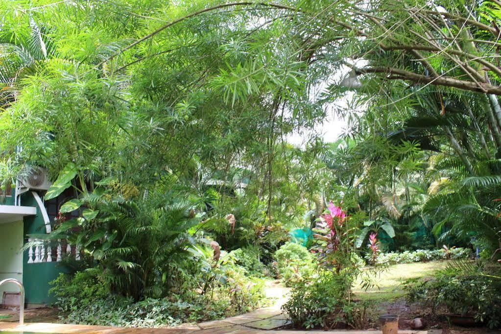 Villa Theresa Beach Resort Calangute Exteriér fotografie